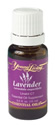 ätherisches Lavendel Öl von YoungLiving