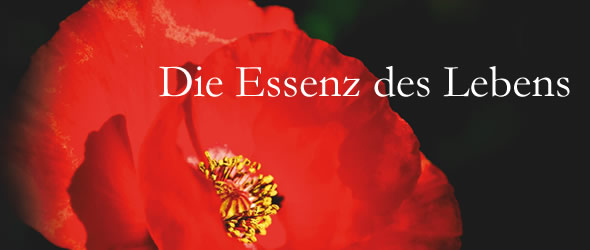 Die Essenz des Lebens