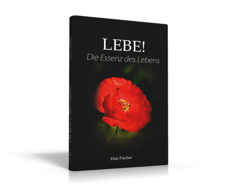 Lebe - Die Essenz des Lebens - Elias Fischer