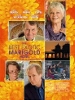 Best Exotic Marigold Hotel film lebenslustig